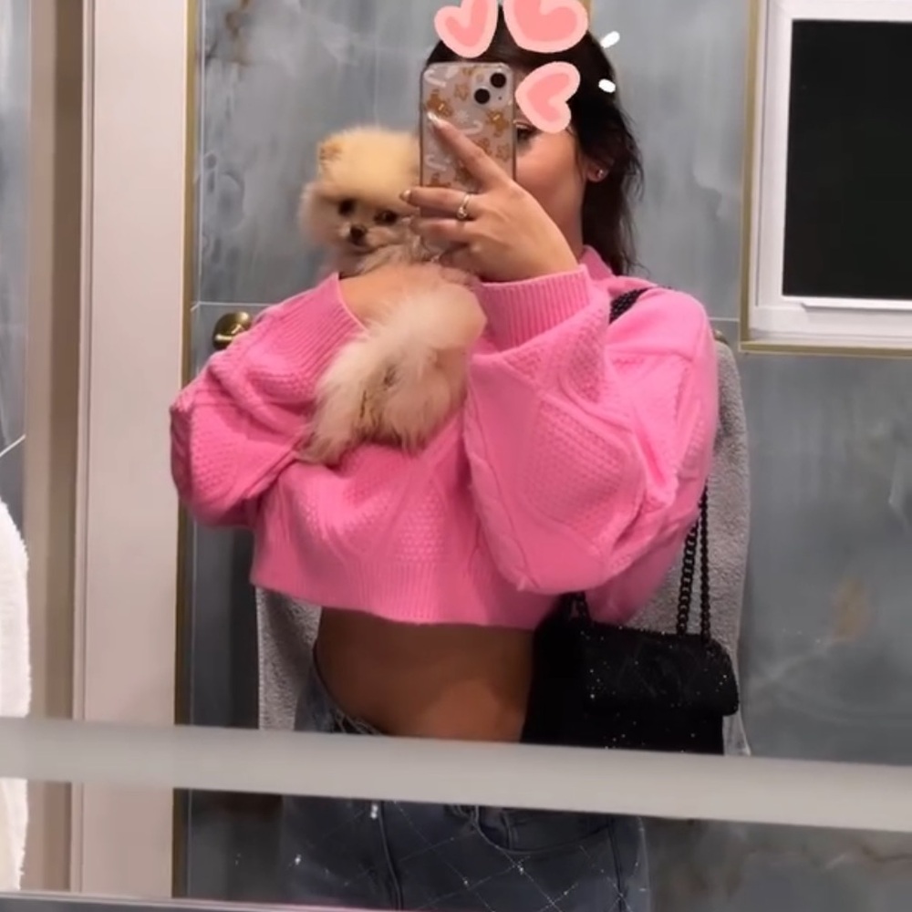 Fashion Nova Pink cropped Knit Sweater